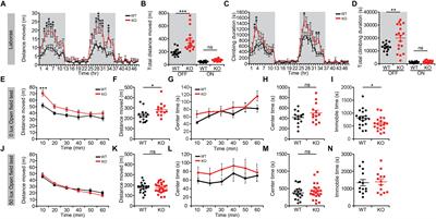 NGL-1/LRRC4C-Mutant Mice Display Hyperactivity and Anxiolytic-Like Behavior Associated With Widespread Suppression of Neuronal Activity